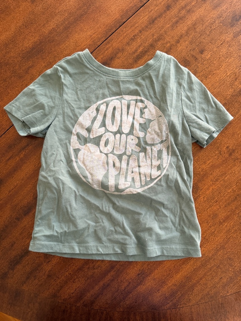 BOGO Old Navy Sage Green "Love Our Planet" Graphic Tee